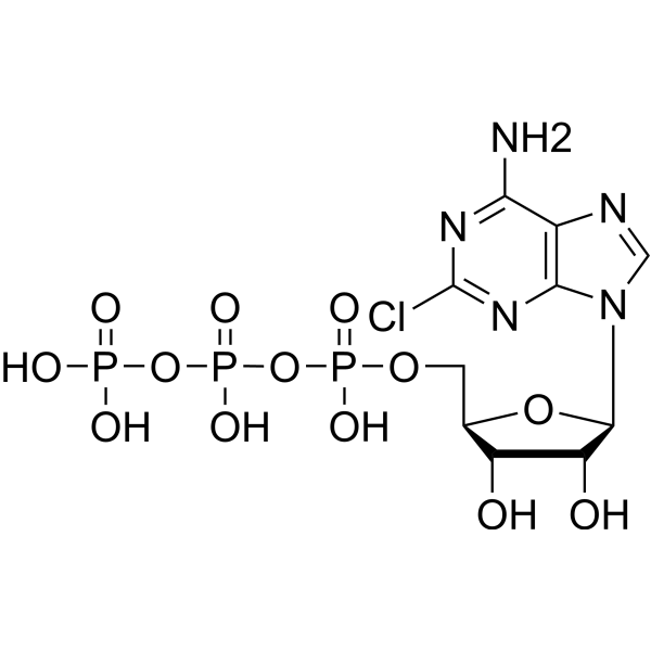 2-Chloro-ATP 49564-60-5